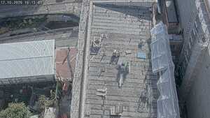 12.10.2026 16:15