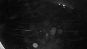 20.10.2026 20:20