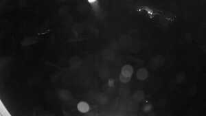 23.10.2026 04:50