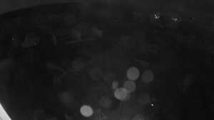 26.10.2026 05:35