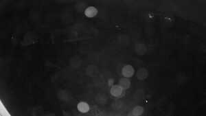 28.10.2026 00:05