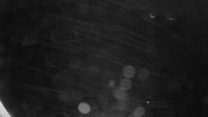 28.10.2026 02:05