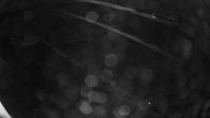 28.10.2026 02:35