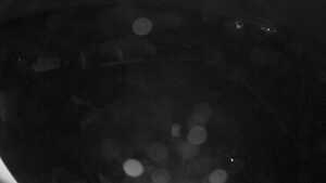 28.10.2026 03:05