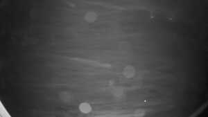31.10.2026 01:35